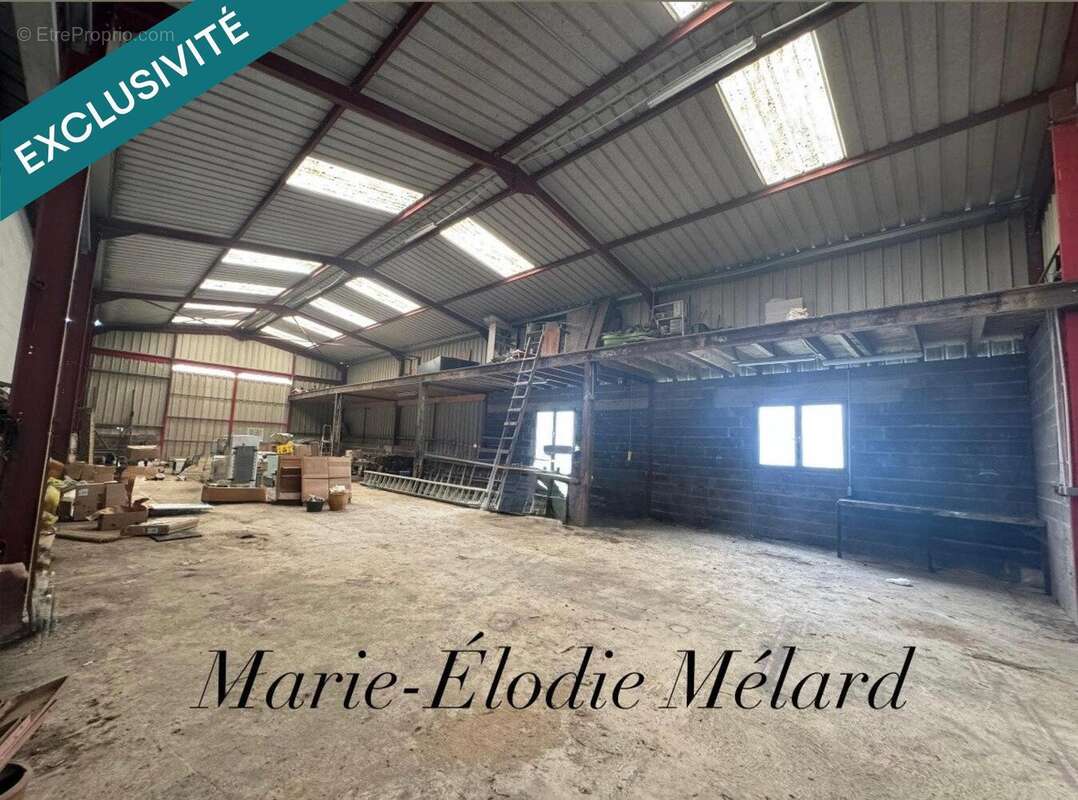 Photo 7 - Appartement à MANGIENNES