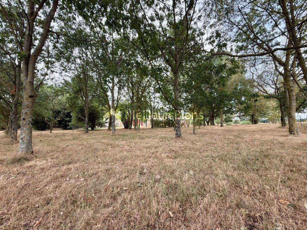 Maison en pierres de plain-pied avec dépendances sur 2,5 hectares – Saint-Saturnin-du-Limet (à 5 min de Renazé) - photo 19