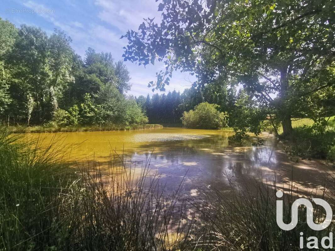 Photo 4 - Maison à MARMINIAC