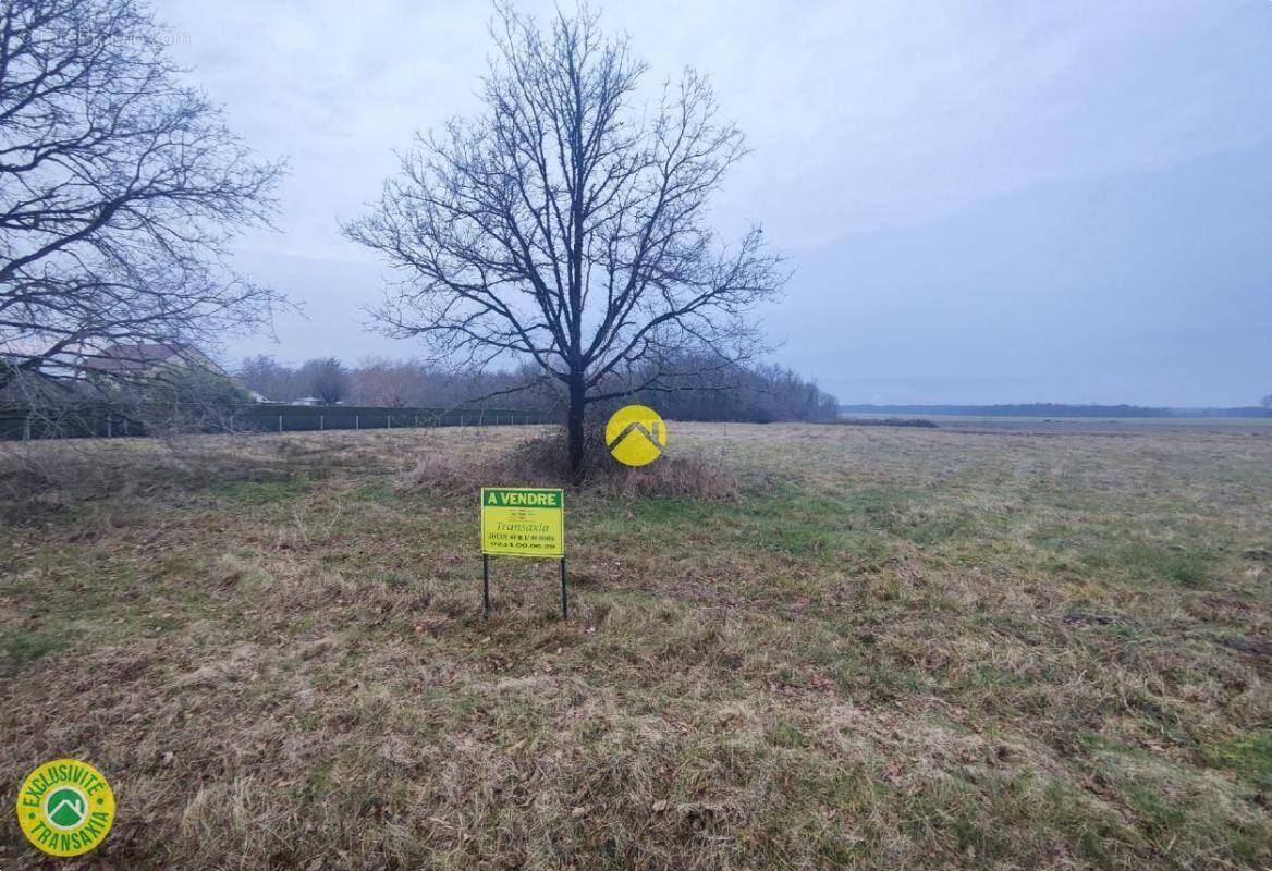 Terrain à TRACY-SUR-LOIRE