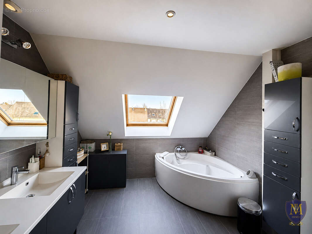 Blotzheim au calme belle maison familiale de 149 m2 avec piscine chauffée sur 6,15 ares de terrain - photo 7