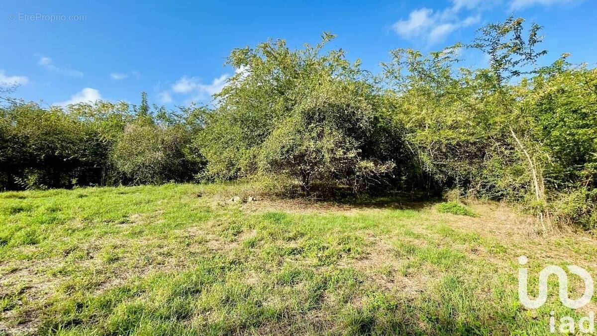 Photo 1 - Terrain à LE GOSIER