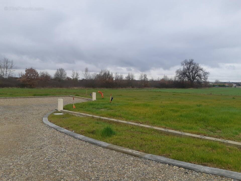 Terrain à LAUNAGUET