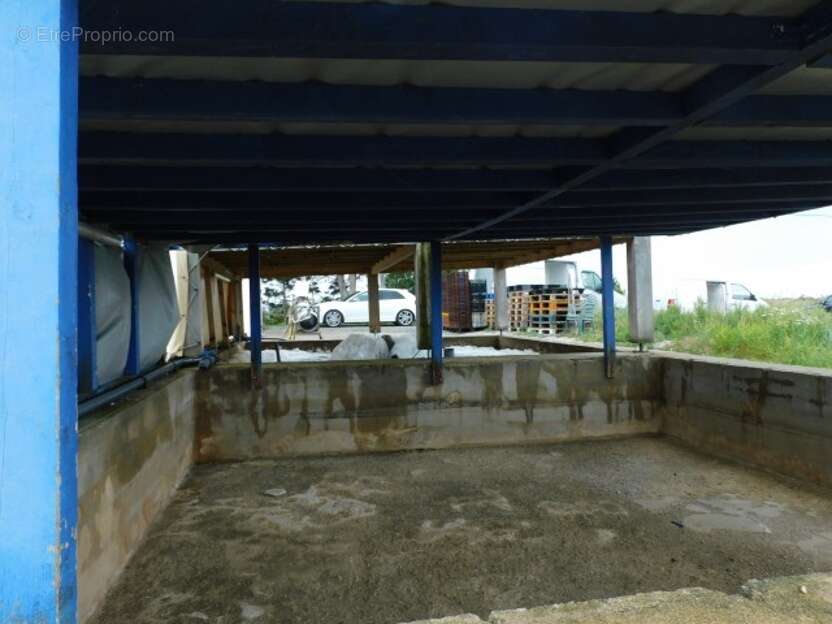 Commerce à DOLUS-D'OLERON