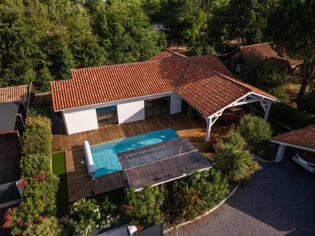 Photo 1 - Maison à SANGUINET
