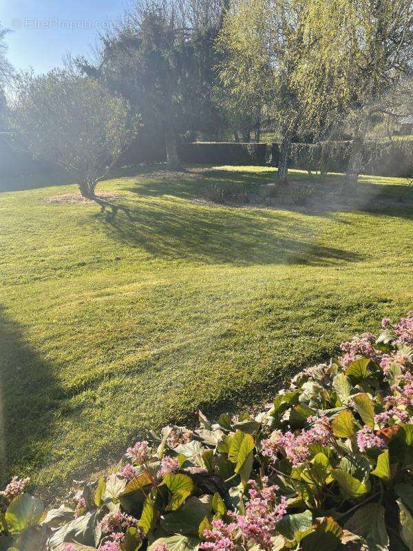 Maison à SAILLY-AU-BOIS