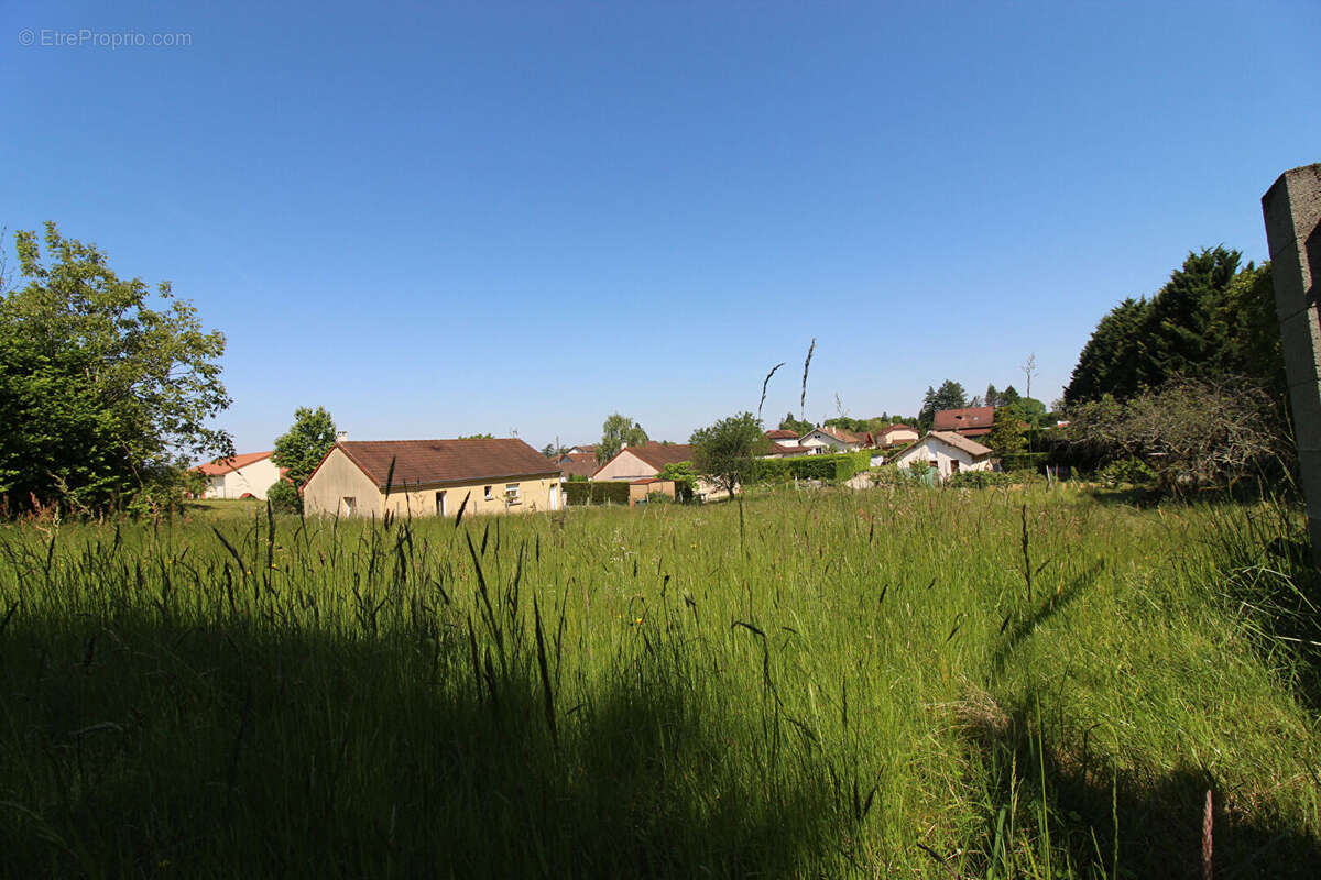 Terrain à SAINT-AMOUR