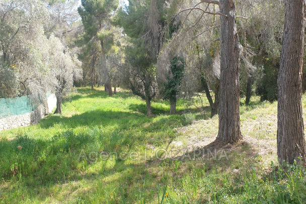 Terrain à MOUGINS
