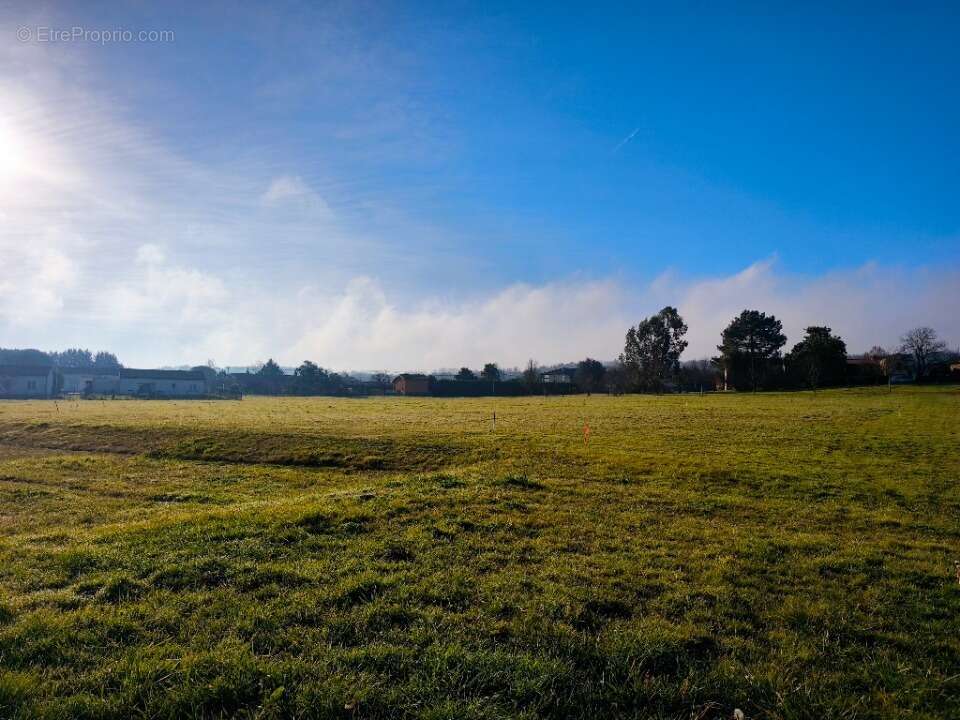 Terrain à SAINT-NAUPHARY