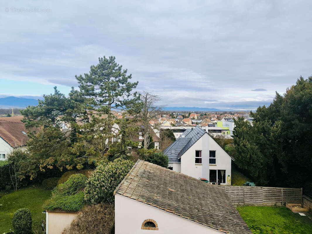 Appartement à PFASTATT