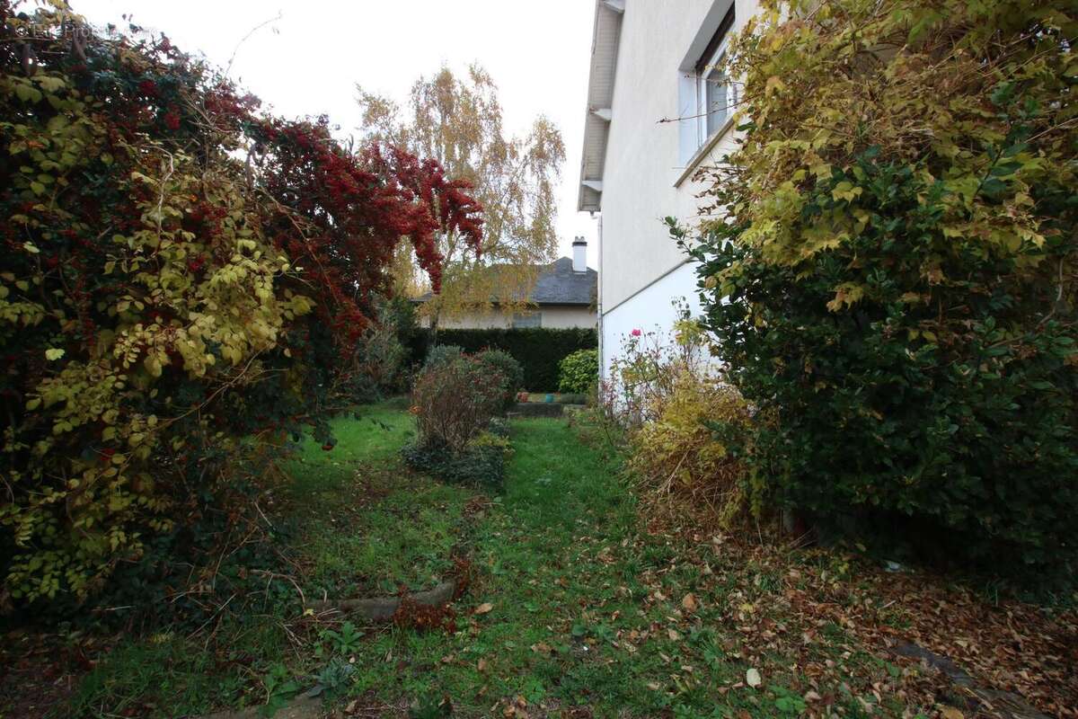 Photo 7 - Maison à MORSANG-SUR-ORGE