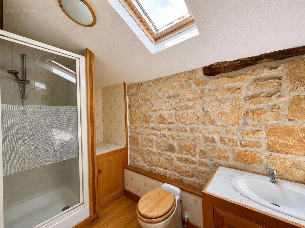 Maison de caractère 5 chambres avec gîte et jardin arboré - photo 19