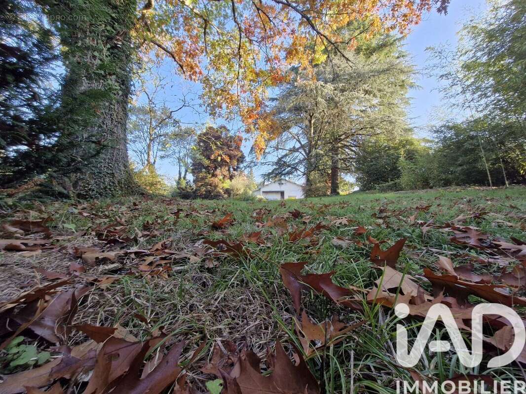 Photo 8 - Maison à SAINT-JUNIEN