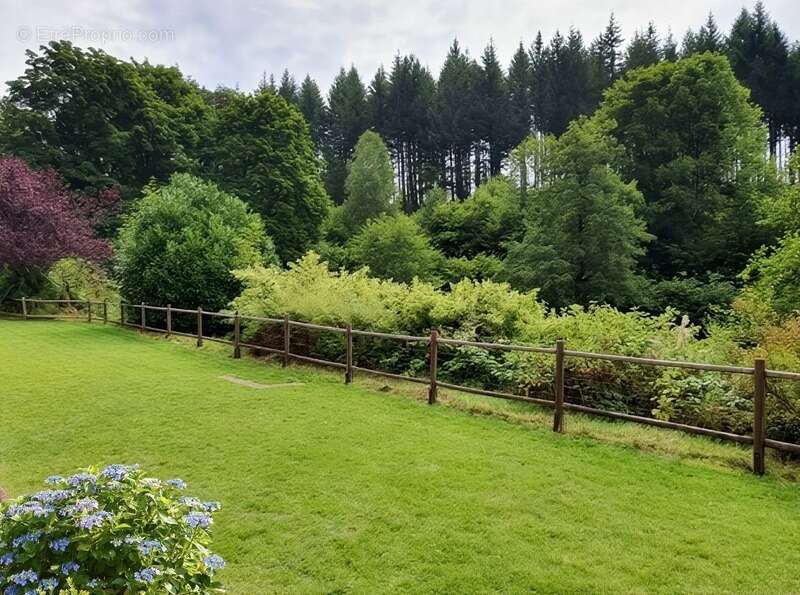 Maison à REMIREMONT