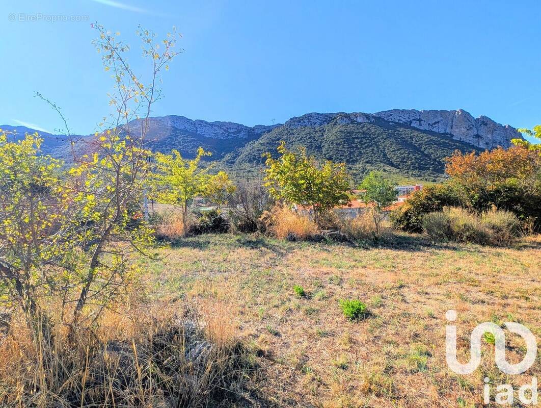 Photo 1 - Terrain à SAINT-PAUL-DE-FENOUILLET