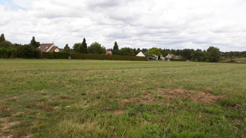 Terrain à NEAUFLES-SAINT-MARTIN