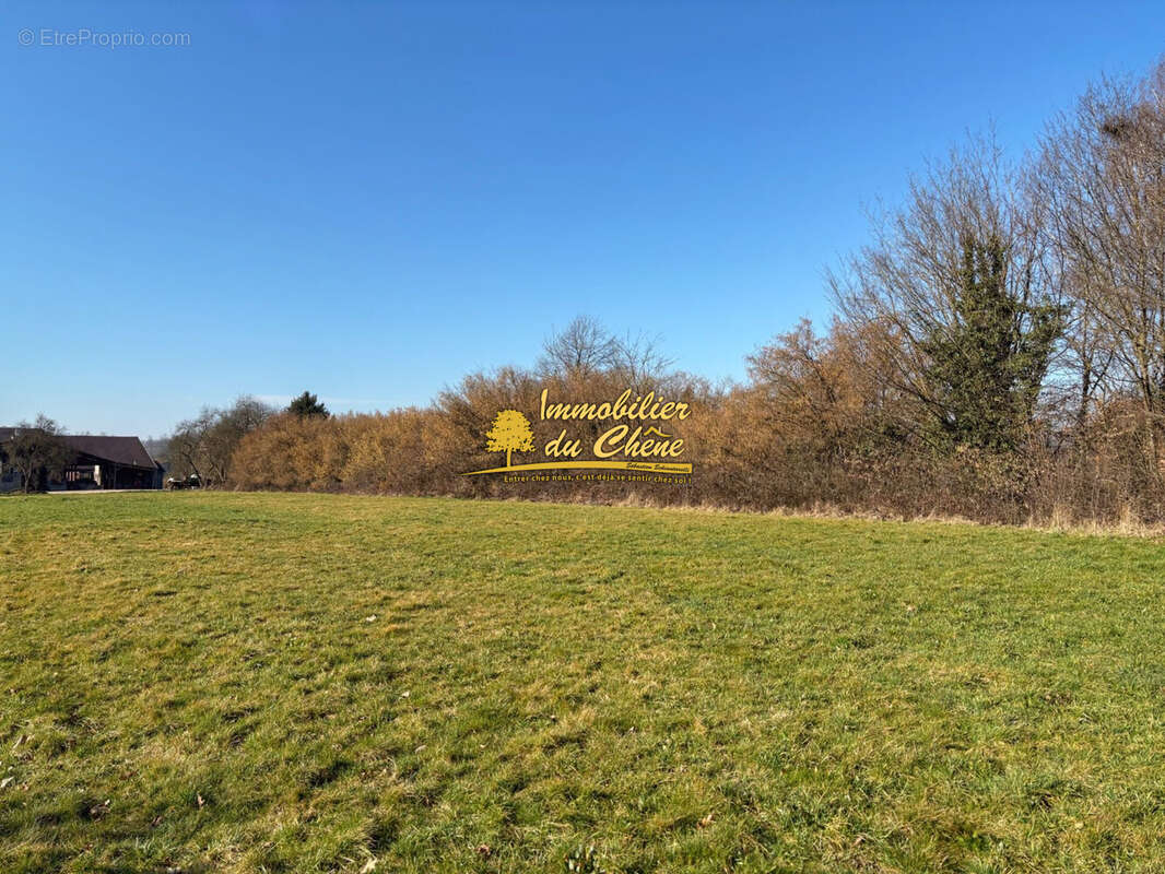 Terrain à BOUHANS-LES-LURE