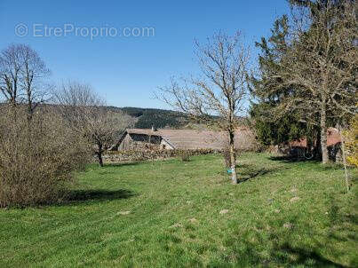 Maison à PRESAILLES