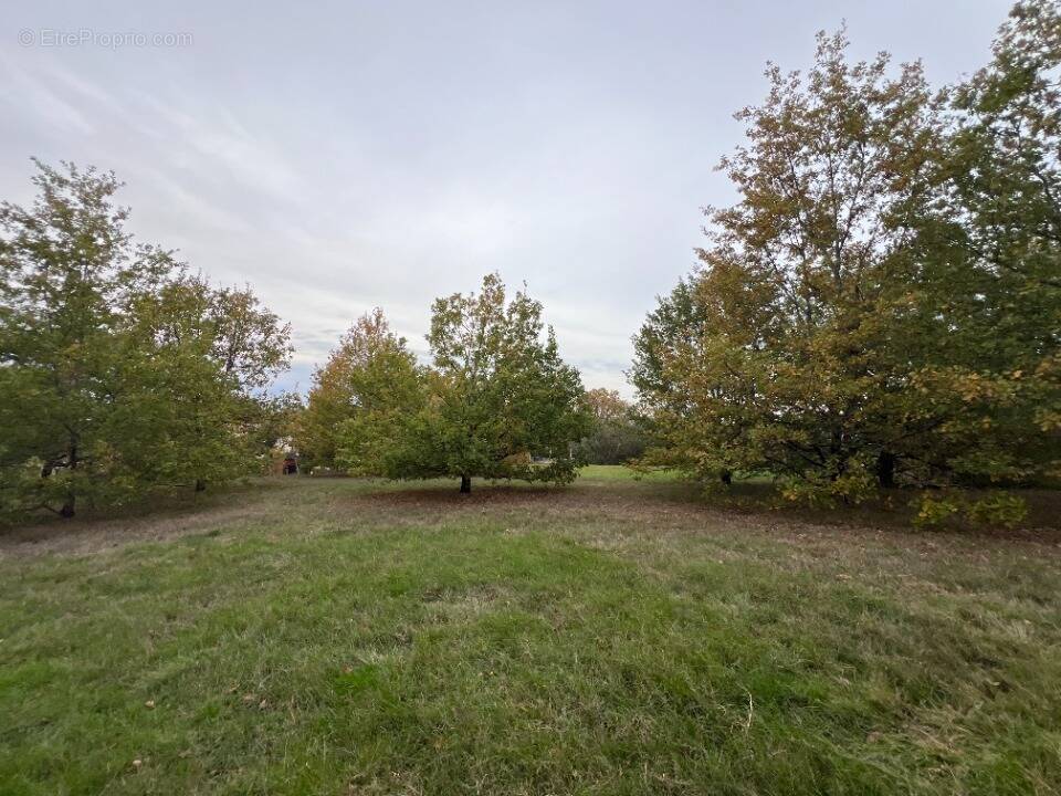 Terrain à SAINT-LOUP-CAMMAS