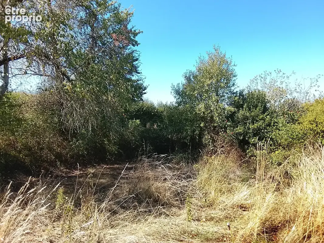 Maison avec jardin à la campagne - photo 10