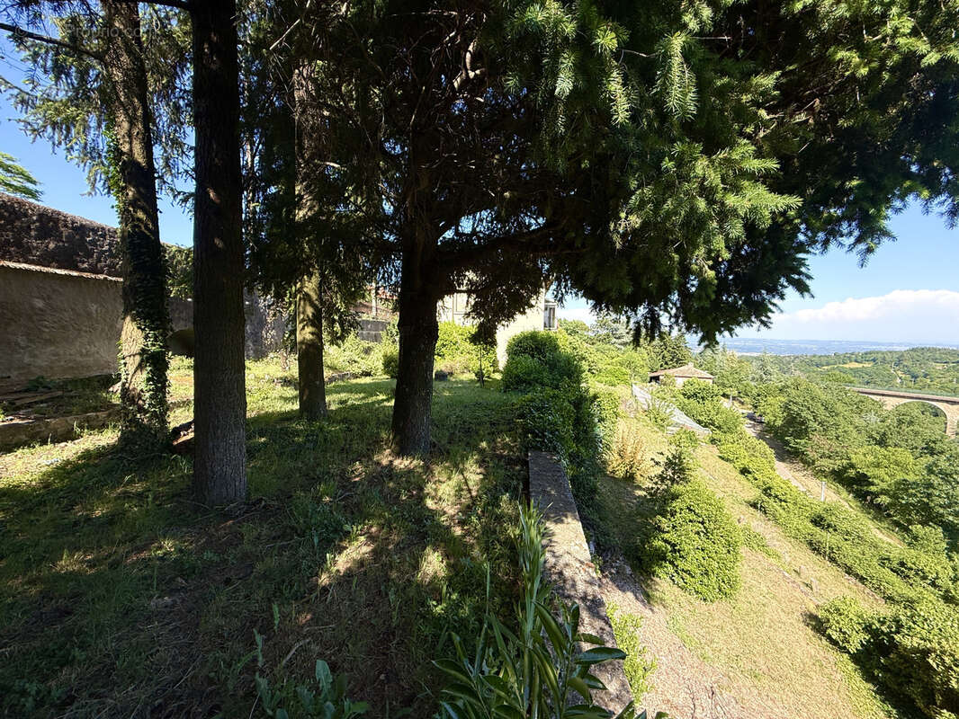 Terrain à PELUSSIN