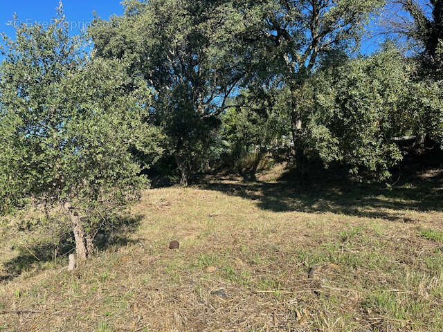 Terrain à VIDAUBAN