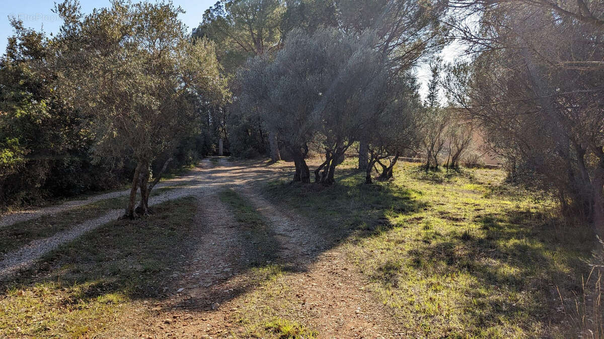 Terrain à LORGUES