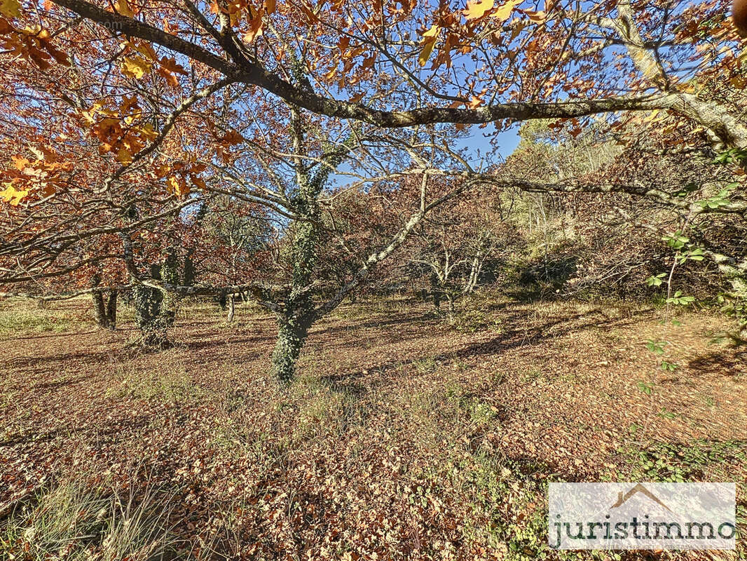 Terrain à ENTRECHAUX