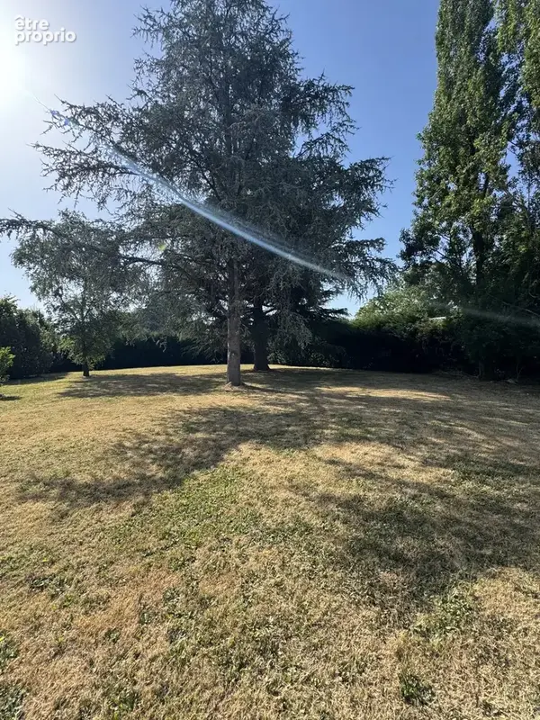 Maison 7 pièces 250 m² à vendre à Vicq-D'auribat (40380) - photo 4