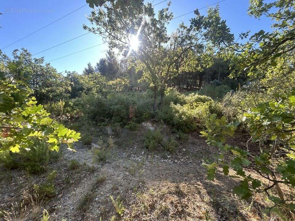 Terrain de loisirs de 5 070 m² en zone naturelle ! Cabanon - photo 2
