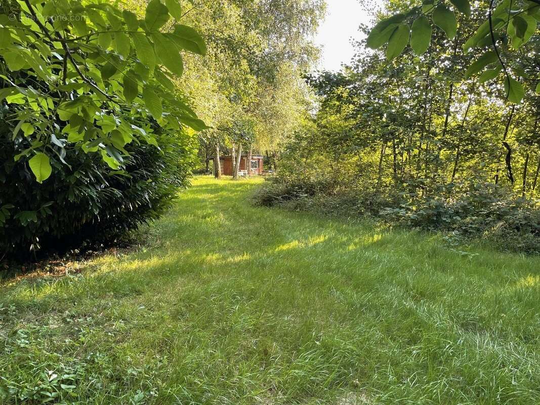 Terrain à SAINT-ULRICH