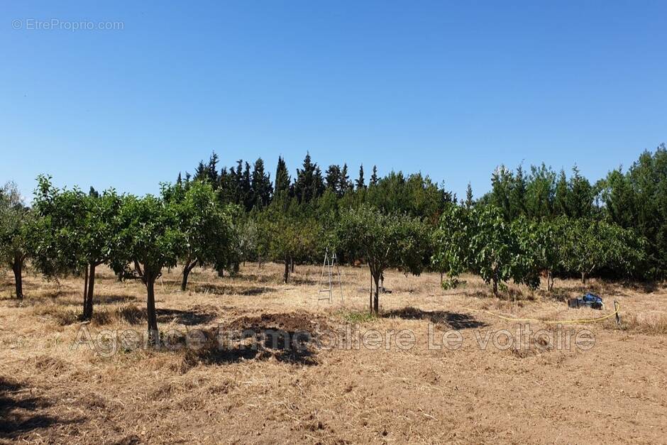 Terrain à SAUVIAN