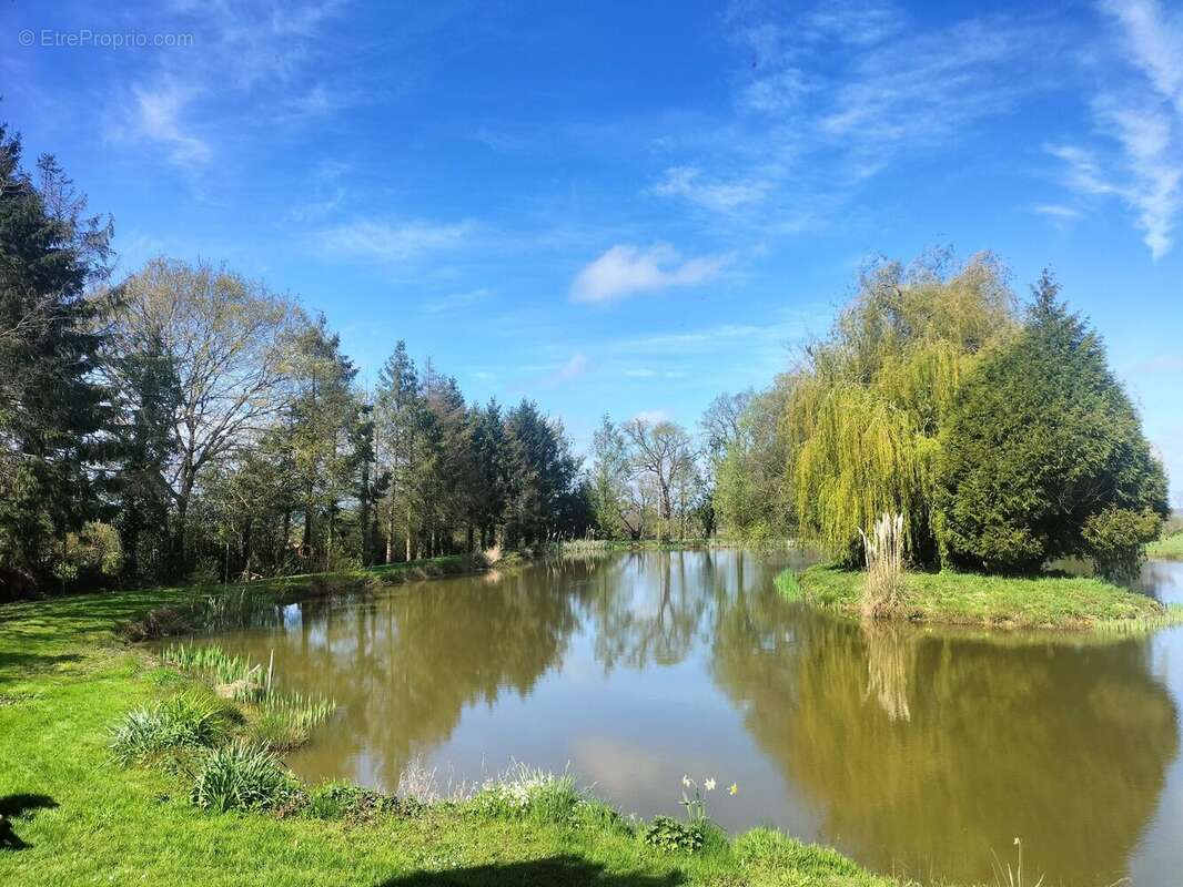 Terrain à SAINT-CYR-EN-PAIL