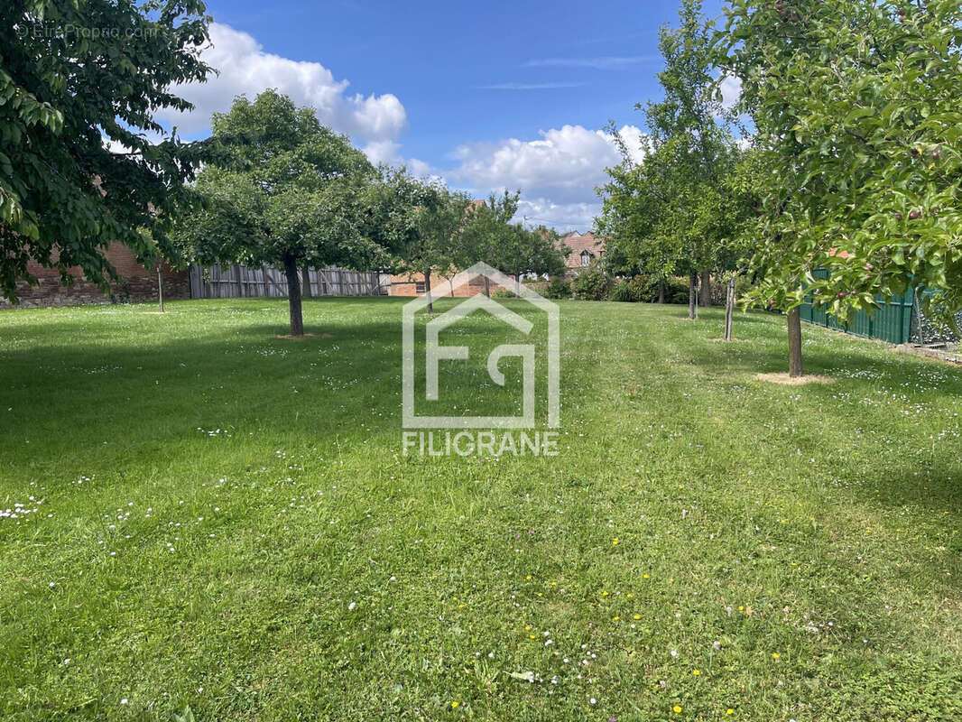 Maison à WILLGOTTHEIM