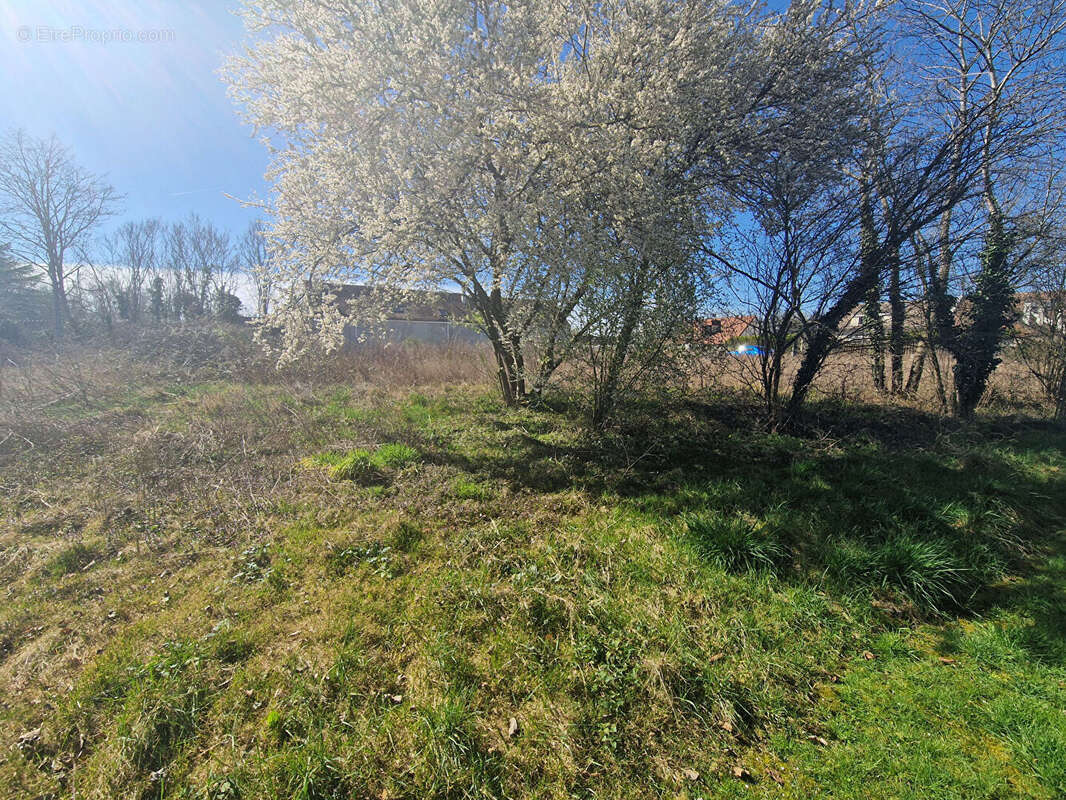 Terrain Barbey 2756 m2 - photo 3