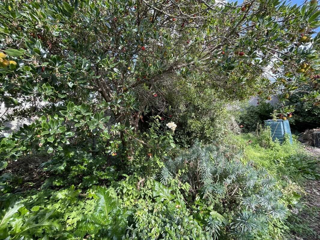 Maison à L&#039;ILE-D&#039;OLONNE
