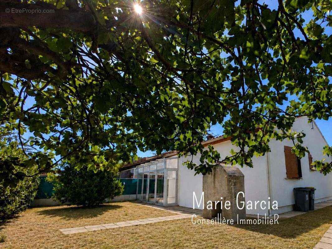 Photo 3 - Maison à MAUGUIO