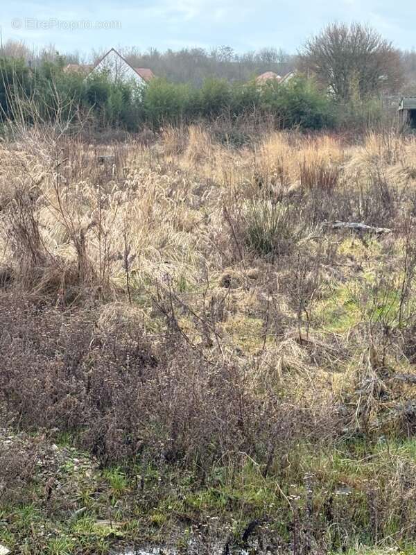 Terrain à HESDIGNEUL-LES-BOULOGNE