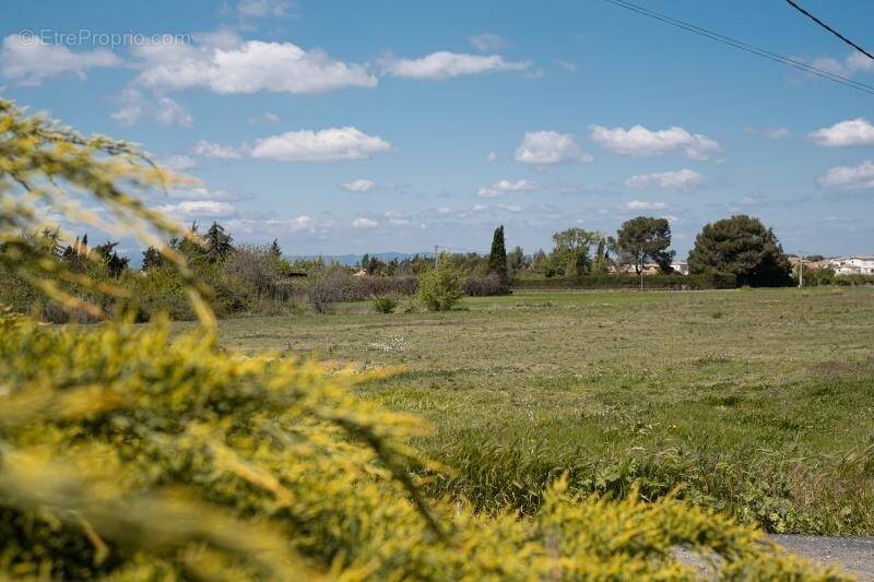 Terrain à SAUVIAN