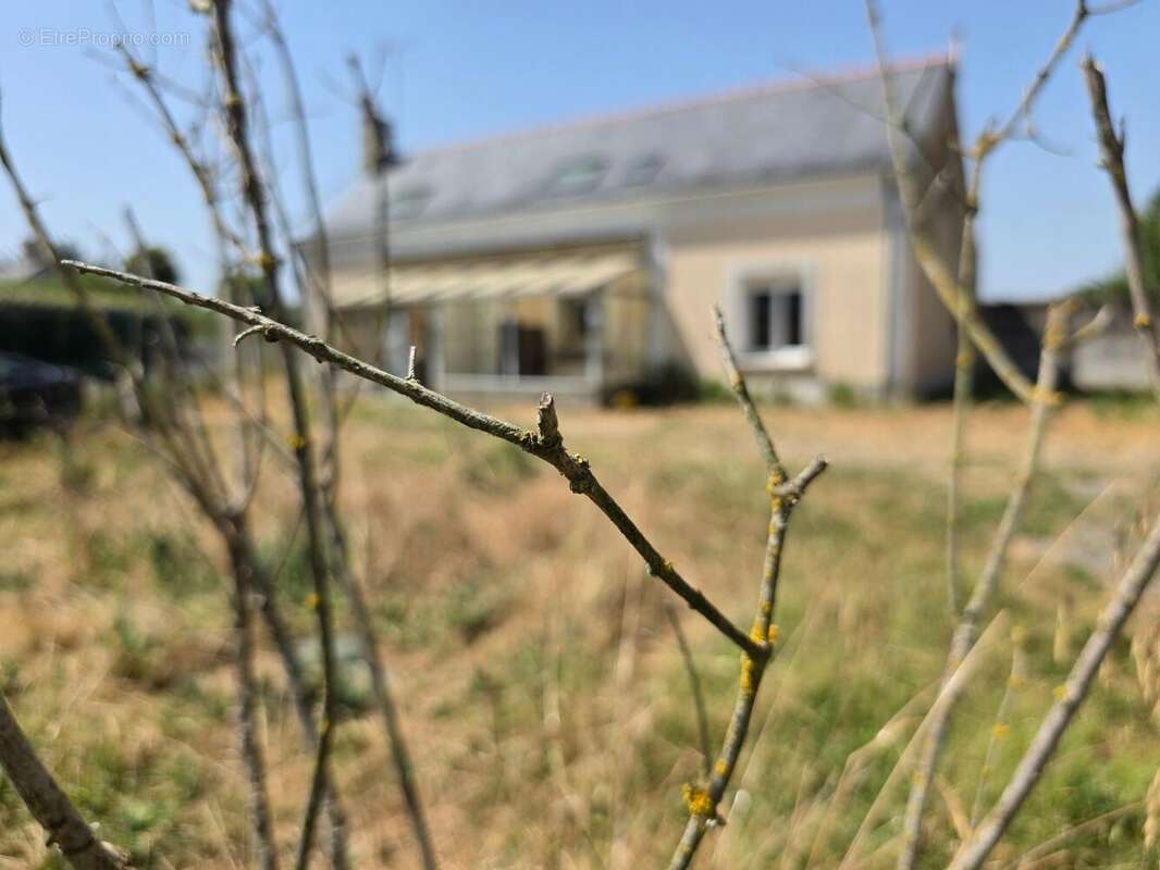 Photo 2 - Maison à BAUGE
