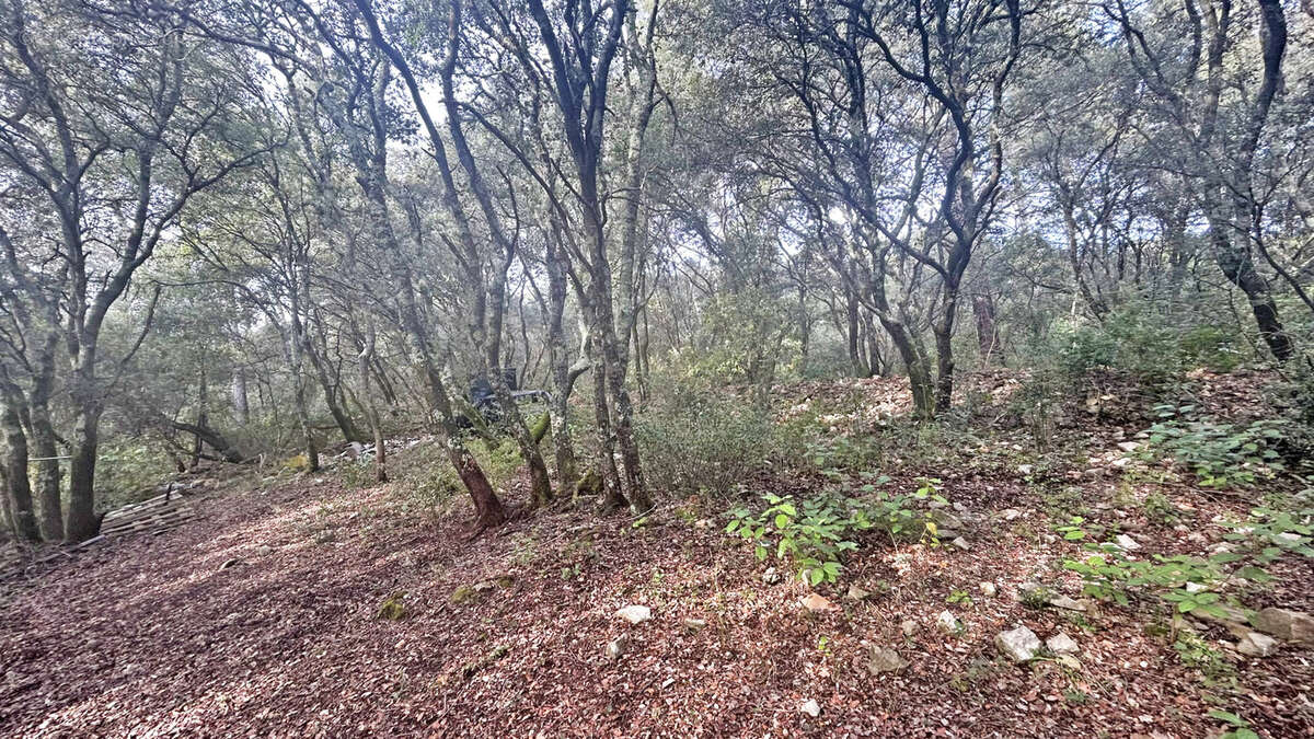 Terrain à CARNOULES