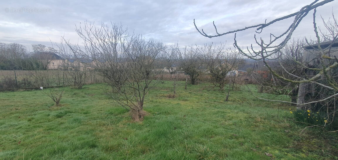 Terrain à ROCHEFORT-SUR-LOIRE