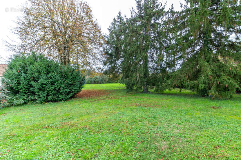 Maison à SELLES-SUR-CHER