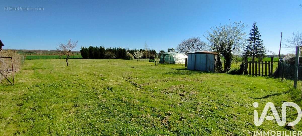 Photo 8 - Terrain à NERE