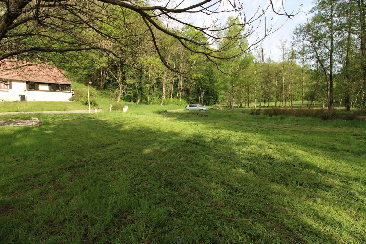 Photo 4 - Terrain à FROHMUHL