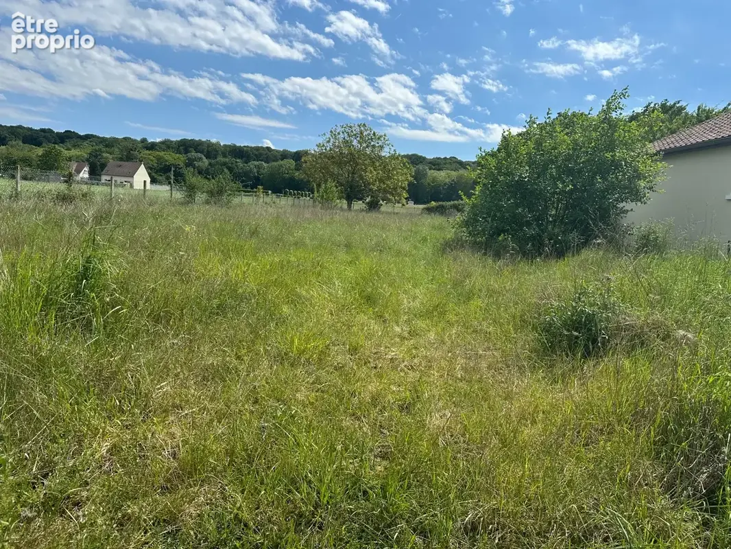 Terrain 1 006 m² – borné – viabilisé pour la vente – cuts (60) - photo 3