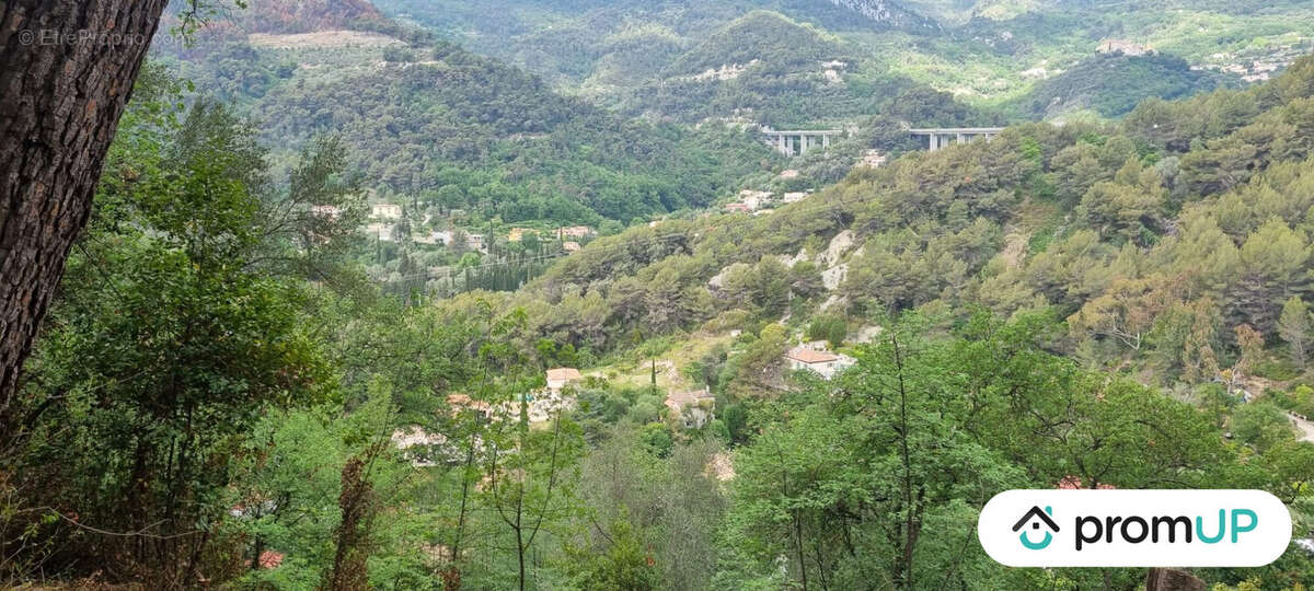 Terrain à GORBIO
