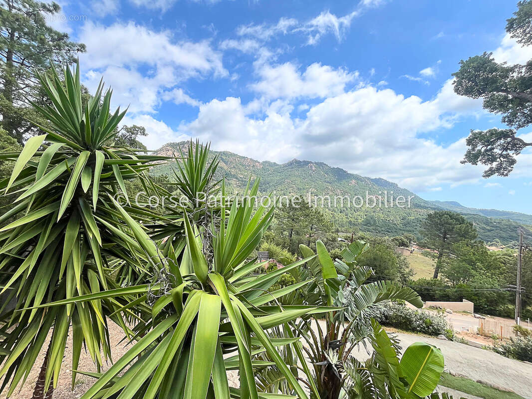 Maison à PORTO-VECCHIO