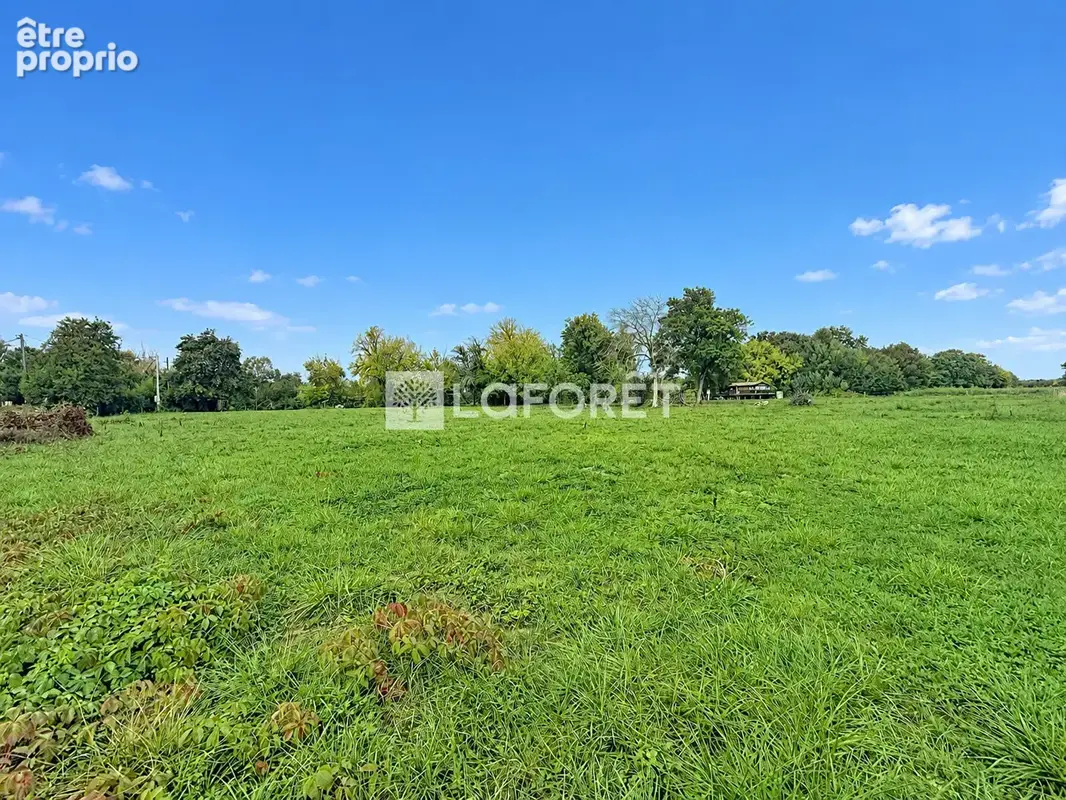 Terrain à BRANNE