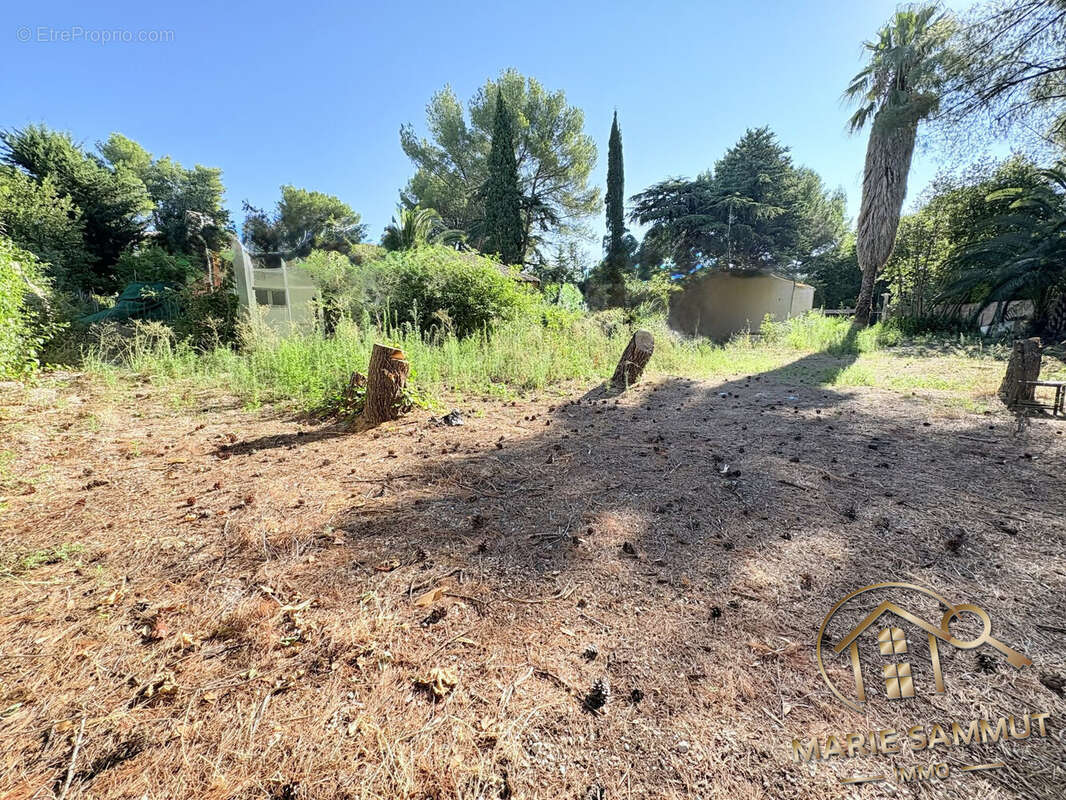 Terrain à MONTPELLIER